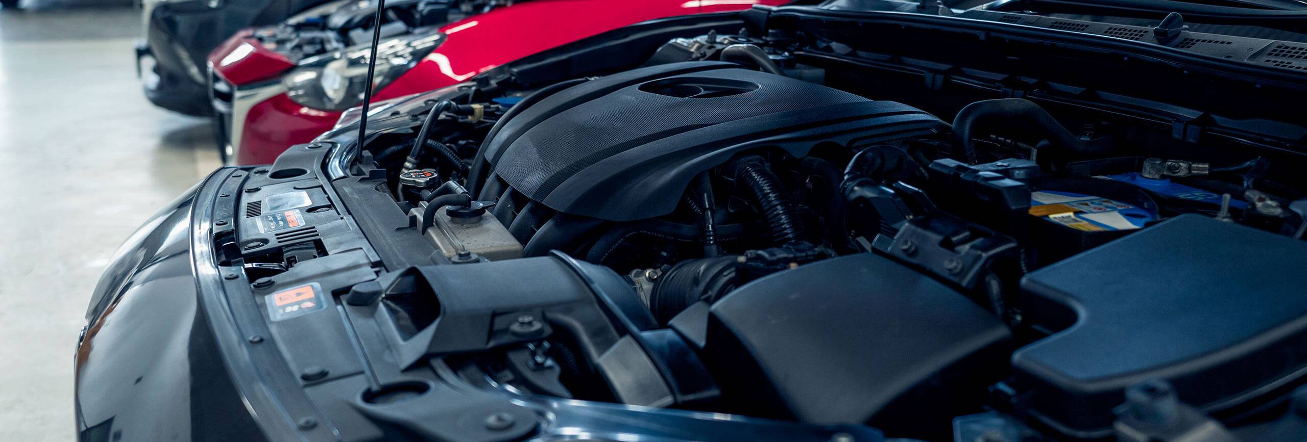 royal oak slider 011